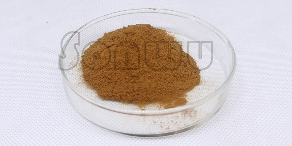 Yohimbe extract powder