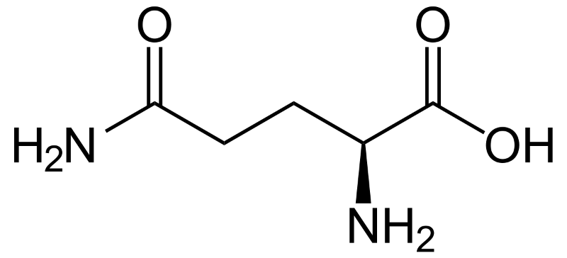 1200px-L-Glutamin-L-Glutaminesvg 1200px-L-Glutamin-L-Glutaminesvg