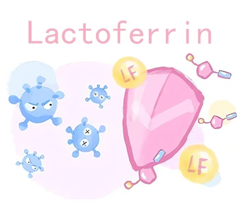 Virker Lactoferrin virkelig?