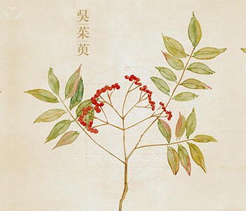 Det kan reducere fedt, bekæmpe betændelse, antioxidanter og sænke blodtrykket.