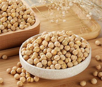 Genisteins vigtigste antitumormekanisme: Inhibering af tilbagefald og metasta...